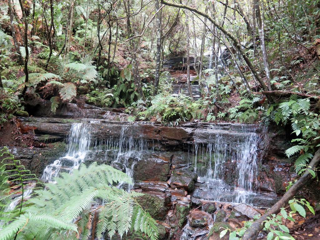 Villa Shelton-Lea Katoomba Esterno foto