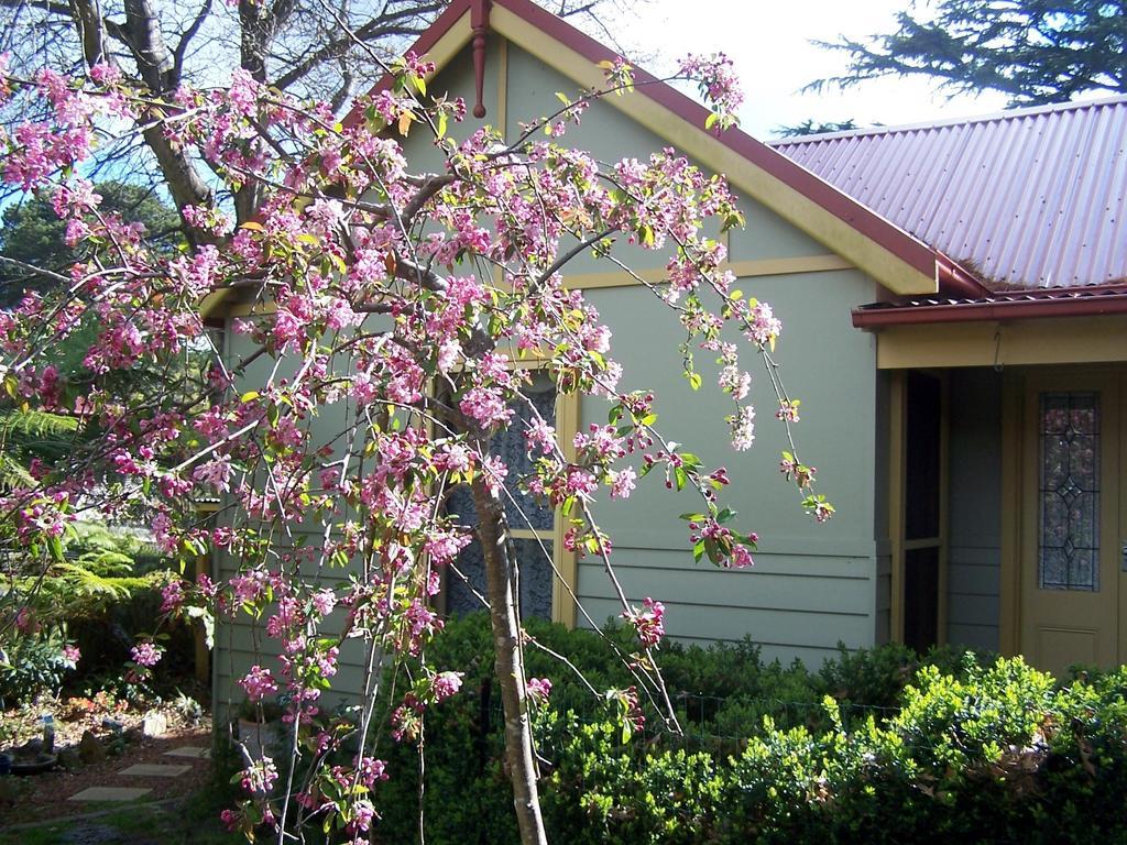 Villa Shelton-Lea Katoomba Camera foto