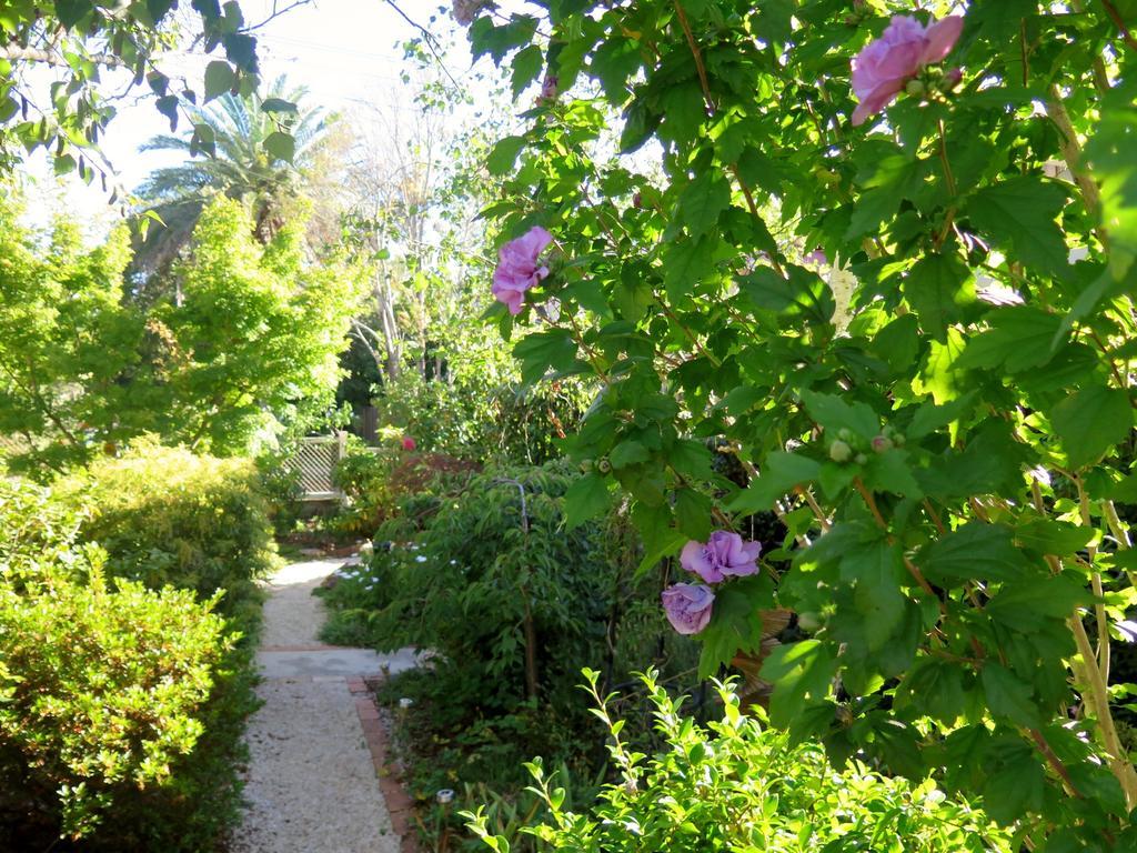 Villa Shelton-Lea Katoomba Esterno foto