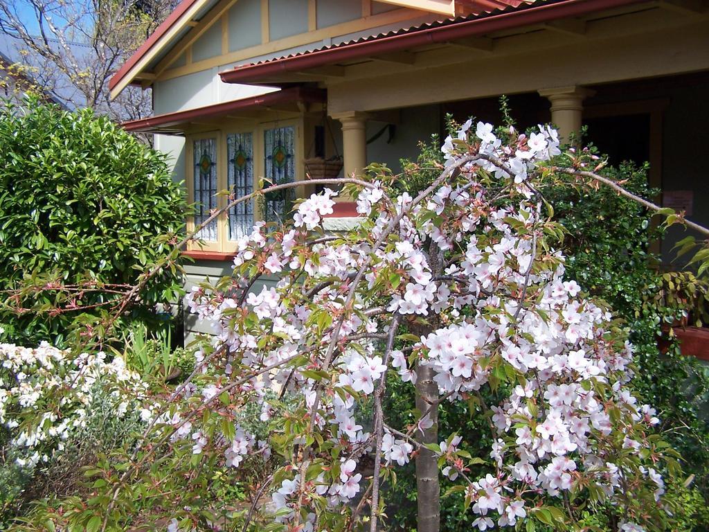 Villa Shelton-Lea Katoomba Esterno foto